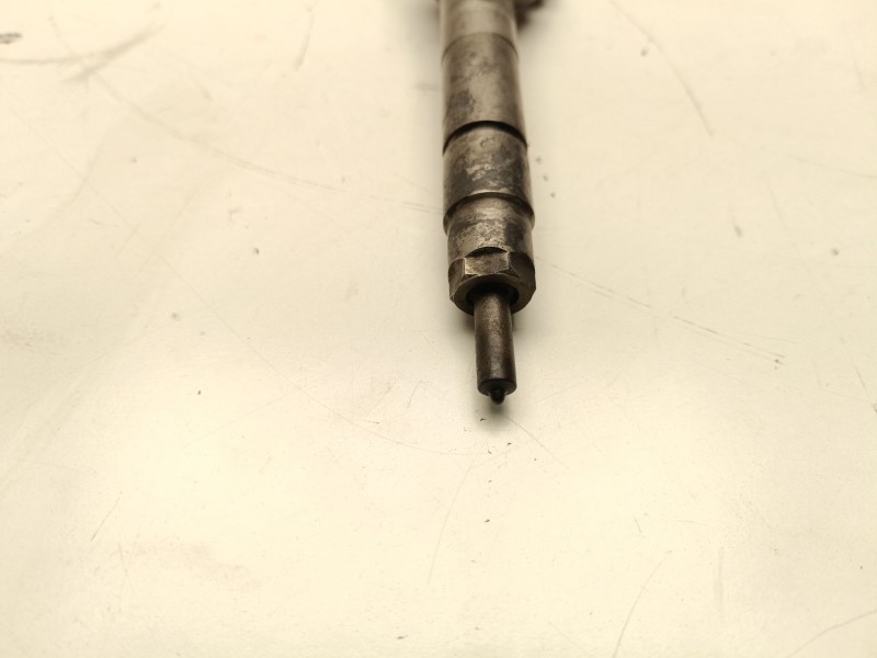 Recambio de inyector para bmw serie 3 touring (e91) referencia OEM IAM 0445110289  