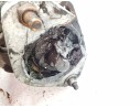 BOMBA HIDRAULICA 