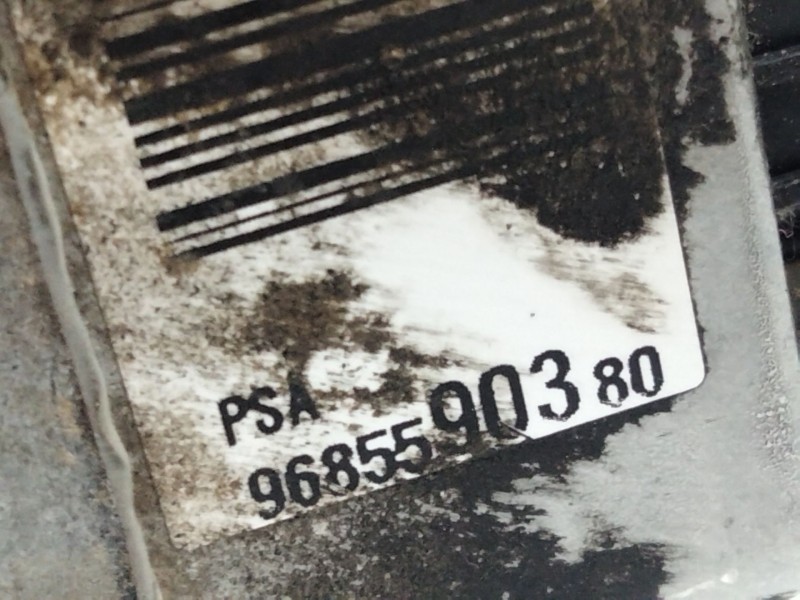 Recambio de bomba direccion para citroën c4 berlina 1.6 16v cat (nfu / tu5jp4) referencia OEM IAM 9685690380  