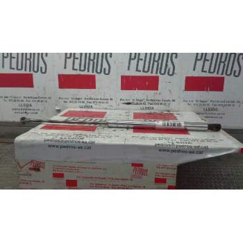 AMORTIGUADORES MALETERO / PORTON 