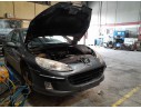 PEUGEOT 407 (6D_)