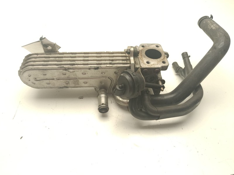 Recambio de enfriador de gases para audi a3 (8l1) 1.9 tdi referencia OEM IAM 03G131513J  