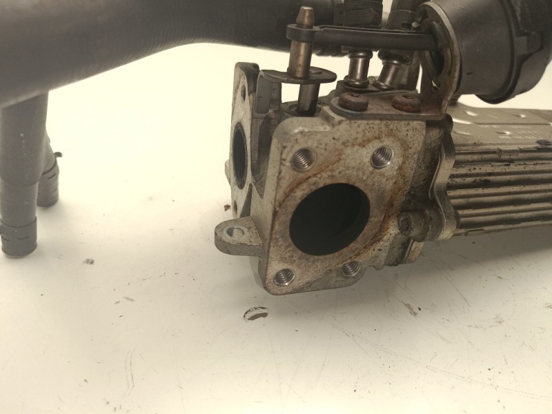 Recambio de enfriador de gases para audi a3 (8l1) 1.9 tdi referencia OEM IAM 03G131513J  