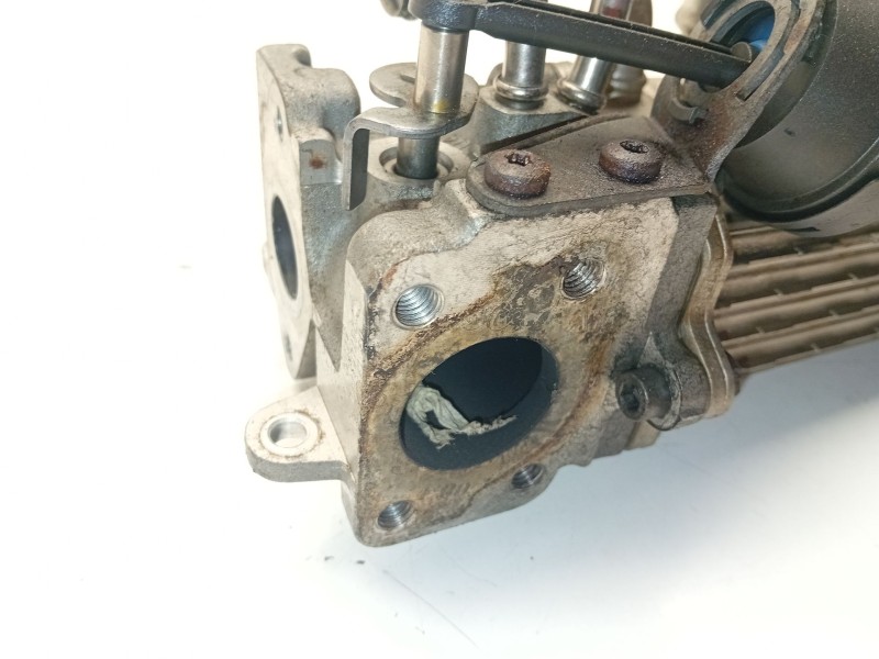 Recambio de enfriador de gases para audi a3 (8p1) 2.0 tdi referencia OEM IAM 03G131513J  