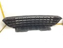 REJILLA DELANTERA 9807711 