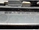 REJILLA DELANTERA 9807711 