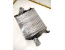 INTERCOOLER 6385012301 2207320001 124486
