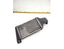 INTERCOOLER 24406701DE1 119659