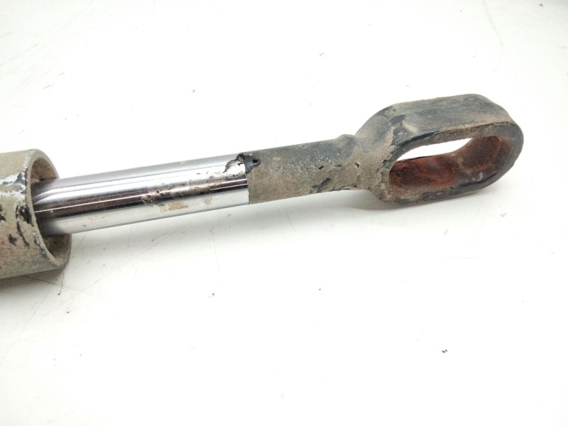 Recambio de pistón abatimiento cabina para daf fa laf 45.220 referencia OEM IAM 0195014  