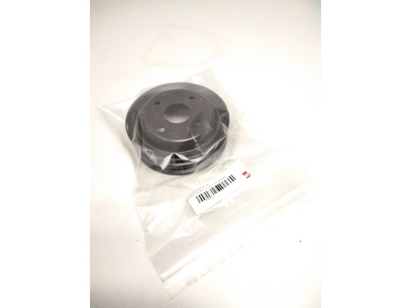 Recambio de polea bomba agua para nissan navara (d22) 2.5 d 4x4 referencia OEM IAM D253566936  