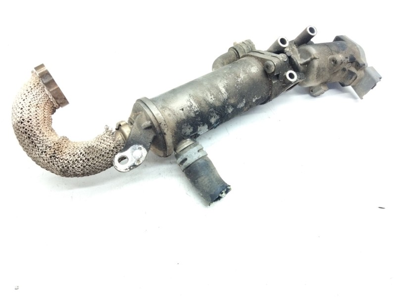 Recambio de enfriador de gases para land rover discovery v6 td hse referencia OEM IAM 216055404  