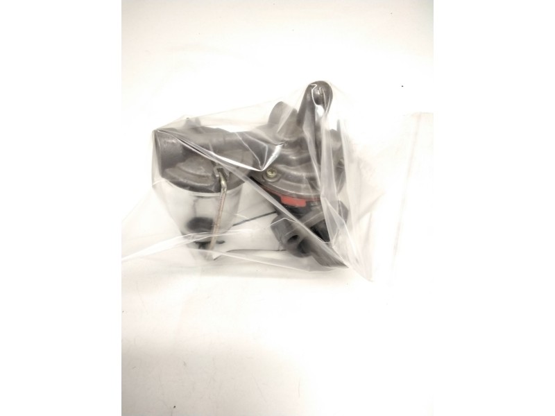 Recambio de bomba combustible para ebro l80 referencia OEM IAM AK09189212  