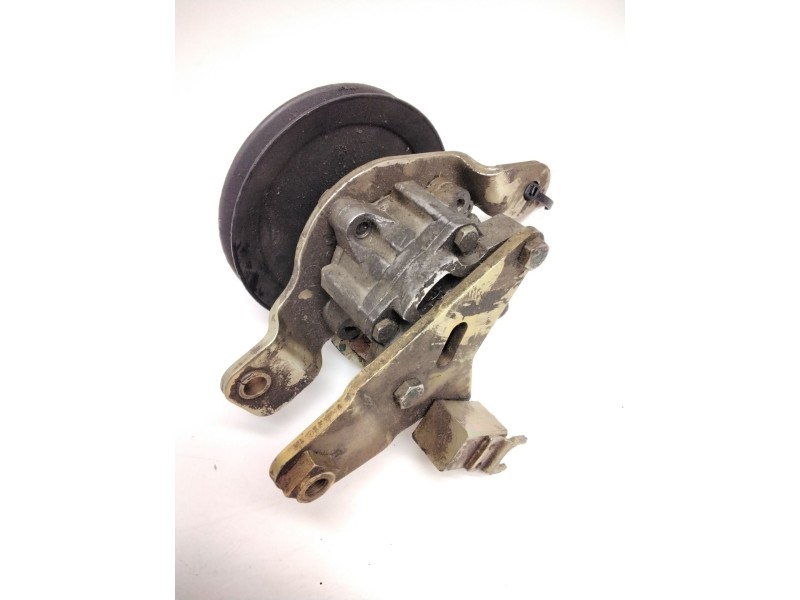 Recambio de bomba servodireccion para nissan terrano ii (r20) 2.7 td 4wd referencia OEM IAM 7692974101 TD27 491100F003