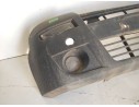 PARAGOLPES DELANTERO 4405454 