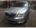 SKODA OCTAVIA BERLINA (1Z3)