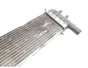 RADIADOR AGUA 21408831R 