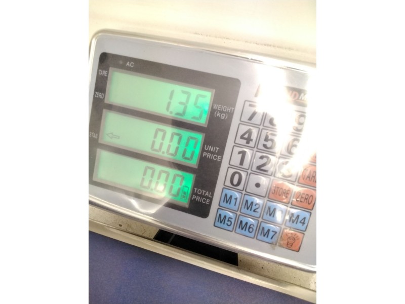 Recambio de cinturon seguridad trasero izquierdo para nissan terrano ii (r20) 2.7 td 4wd referencia OEM IAM 888450F010  0416104