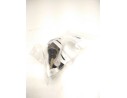 BOMBIN EMBRAGUE 1130600100 1H1721401 FCM202900