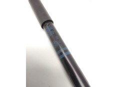 Recambio de amortiguador bomba inyecctora para seat inca (6k9) 1.9 d referencia OEM IAM 028130249   2