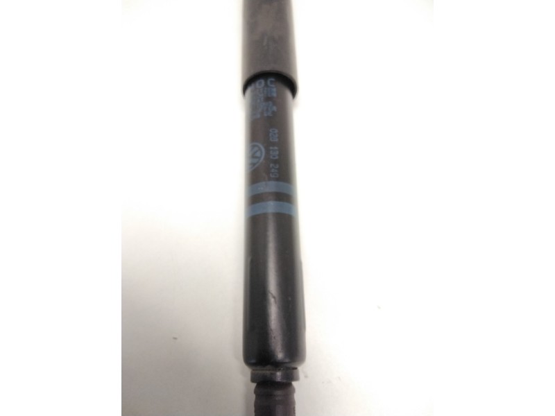 Recambio de amortiguador bomba inyecctora para seat ibiza ii (6k1) 1.9 d referencia OEM IAM 028130249  