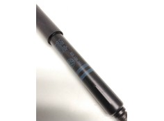 Recambio de amortiguador bomba inyecctora para seat ibiza ii (6k1) 1.9 d referencia OEM IAM 028130249   2