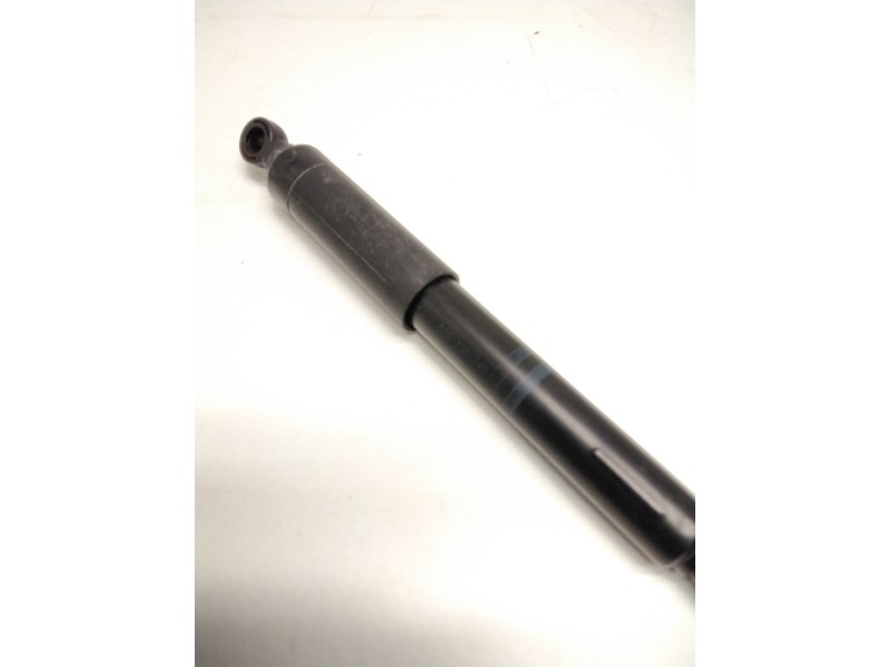 Recambio de amortiguador bomba inyecctora para volkswagen caddy ii furgoneta/monovolumen (9k9a) 1.9 d referencia OEM IAM 0281302