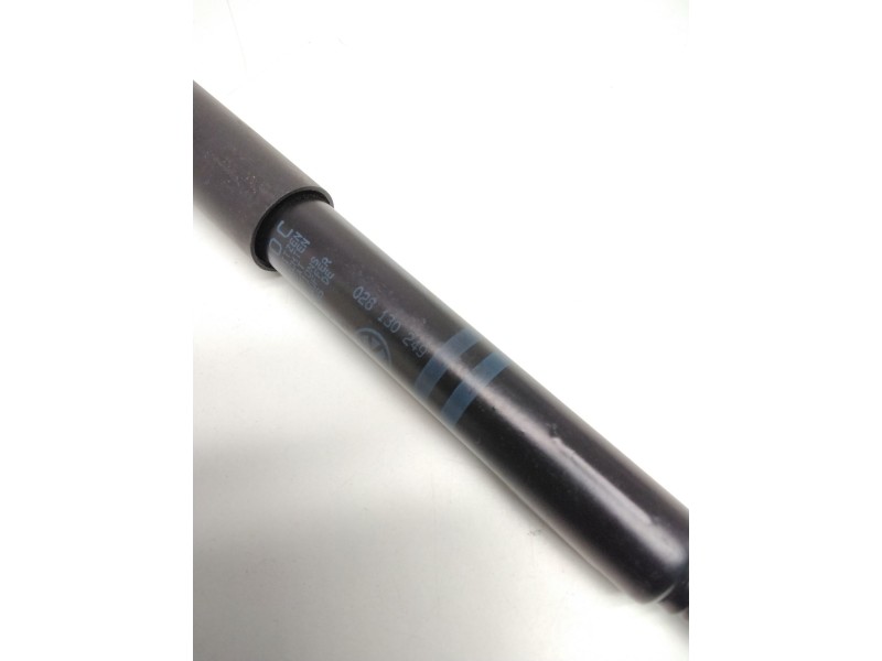 Recambio de amortiguador bomba inyecctora para volkswagen golf iii (1h1) 1.9 d referencia OEM IAM 028130249  