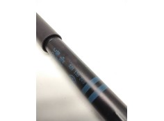 Recambio de amortiguador bomba inyecctora para seat ibiza ii (6k1) 1.9 d referencia OEM IAM 028130249   2