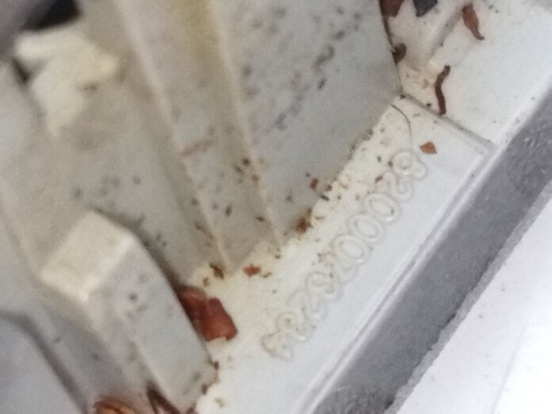 Recambio de luz interior para renault scénic ii (jm0/1_) 1.9 dci (jm0g, jm12, jm1g, jm2c) referencia OEM IAM 8200073234  