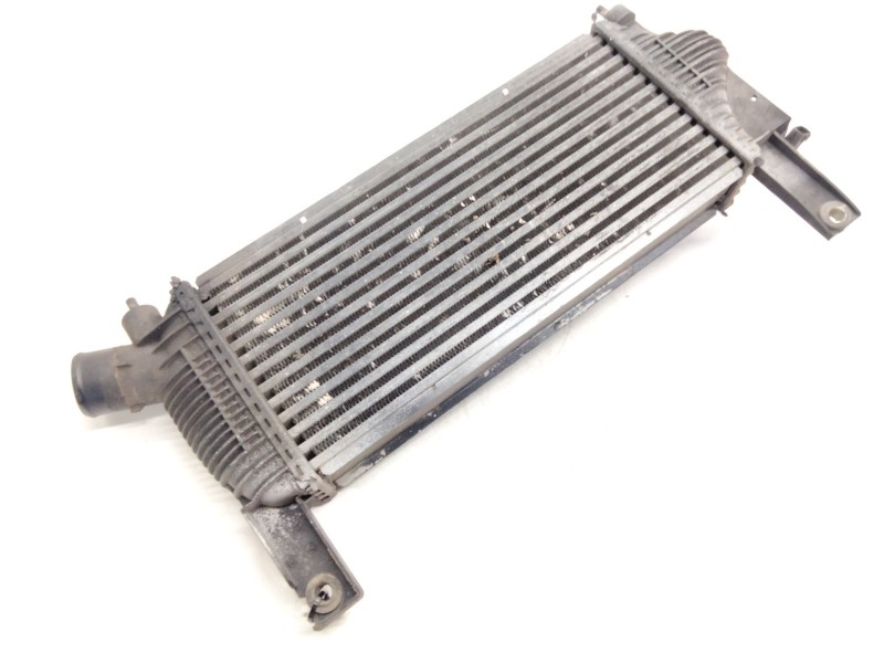 Recambio de intercooler para nissan pathfinder iii (r51) 2.5 dci 4wd referencia OEM IAM 14461EB360  