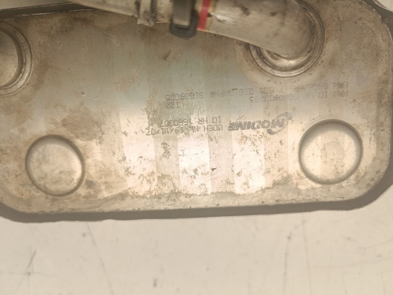 Recambio de enfriador aceite motor para bmw 3 (e46) 330 d referencia OEM IAM 1660307  