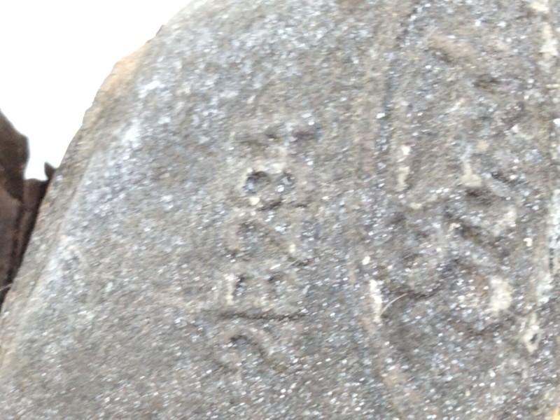 Recambio de pinza freno delantera derecha para ford transit custom v362 autobús (f3) 2.0 ecoblue referencia OEM IAM 2B29A W08385