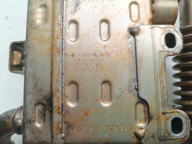 Recambio de enfriador de gases para mercedes-benz clase e cabrio (bm 238) e 220 d (238.414) referencia OEM IAM A6541402801  