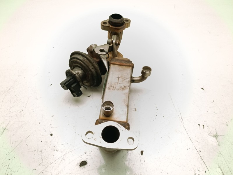 Recambio de enfriador de gases para bmw serie 1 berlina (e81/e87) 2.0 16v diesel cat referencia OEM IAM   