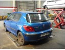 PEUGEOT 307 (S1)