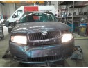 SKODA FABIA I COMBI (6Y5)