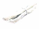 AIRBAG LATERAL IZQUIERDO 84714150708 