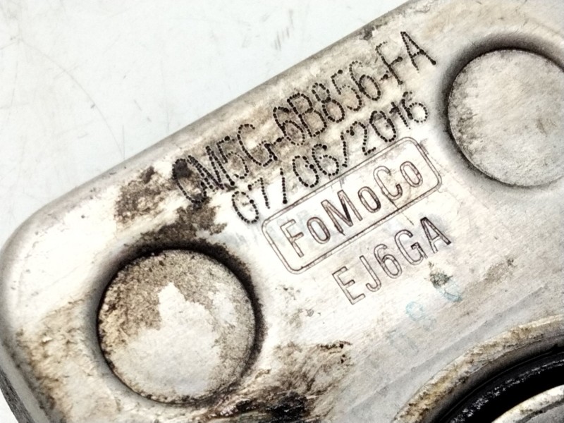 Recambio de enfriador aceite motor para ford focus iii sedán 1.0 ecoboost referencia OEM IAM CM5G6B856FA  