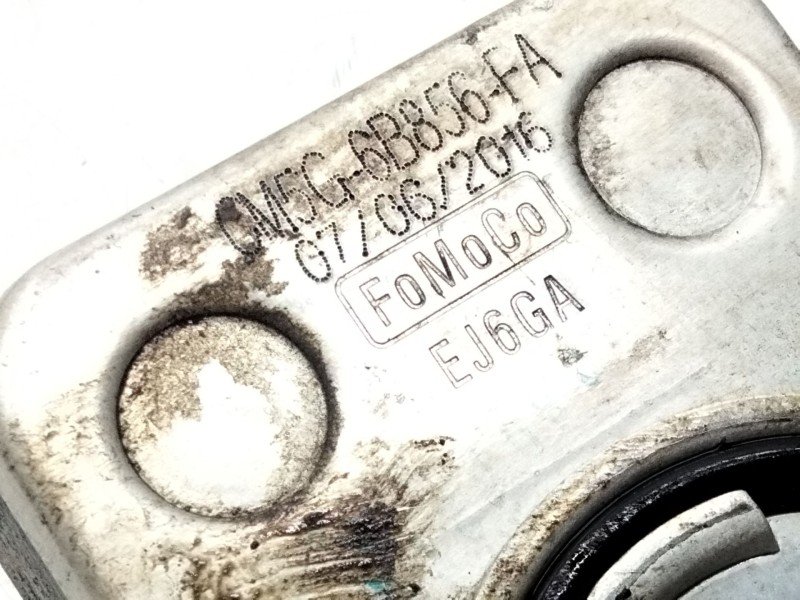 Recambio de enfriador aceite motor para ford focus iii sedán 1.0 ecoboost referencia OEM IAM CM5G6B856FA  