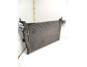 INTERCOOLER 4576039 