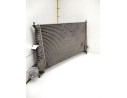 INTERCOOLER 4576039 