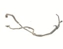 TUBO RADIADOR A2065015001 
