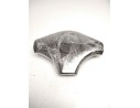 varios 484200F100 TAPA CLAXON VOLANTE