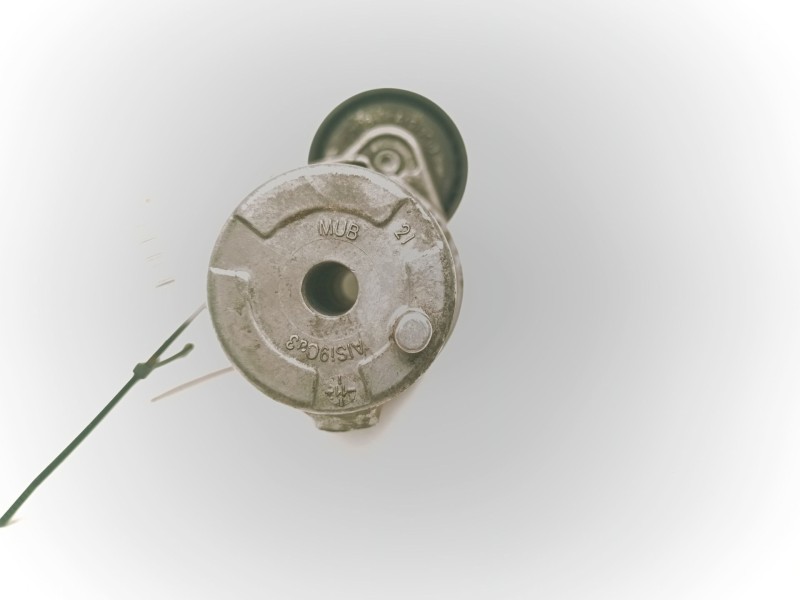 Recambio de tensor correa auxiliar para bmw x5 (e70) xdrive 30 d referencia OEM IAM  AISI9CU3 