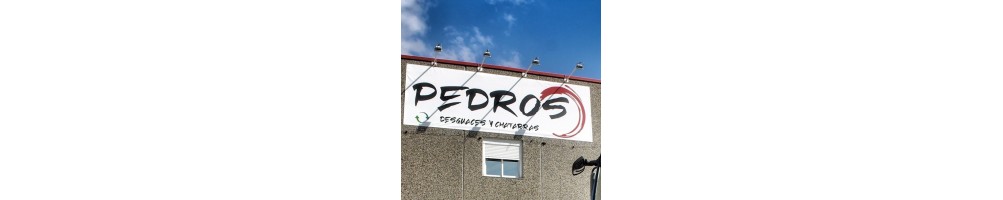 Desguaces Pedros Lleida Piezas Vehículos 🚗🚚 🚛